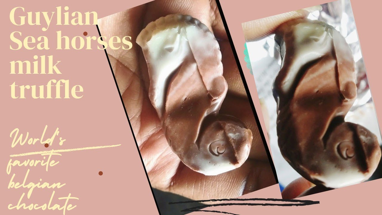 World's favorite, expensive, best chocolate|guylian seahorses truffle|World's best selling chocolate