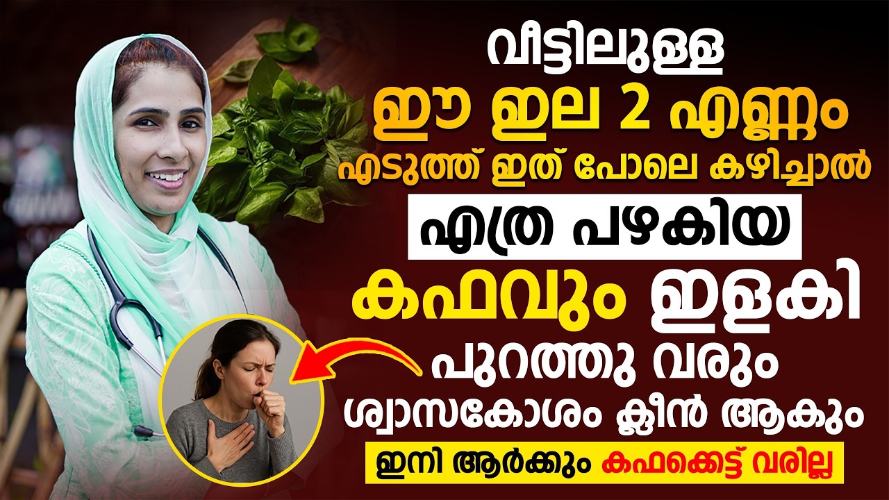 ശ്വാസതടസ്സവും കഫക്കെട്ടും നിങ്ങളെ അലട്ടുന്നുണ്ടോ ?  ഇതാ ഒരു നാടൻ വഴി! Dr JUMANA