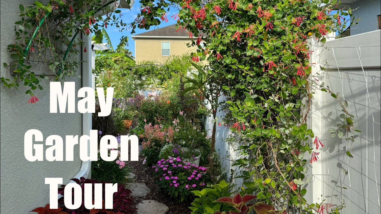 Welcome to my May 2024 Garden Tour! 🌸🌿