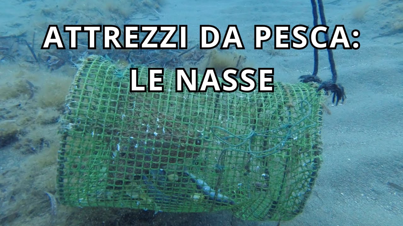 Attrezzi da pesca: 