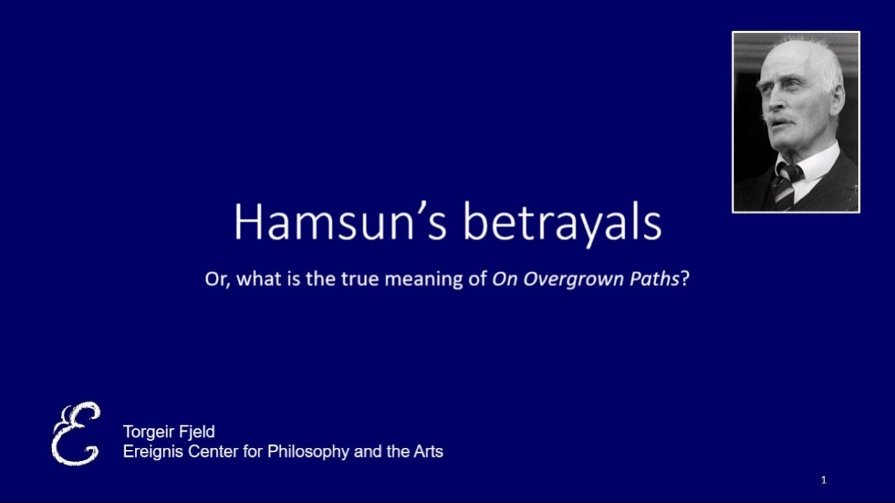 Fjeld, Torgeir: Hamsun's betrayals: psychoanalysis, treason, art