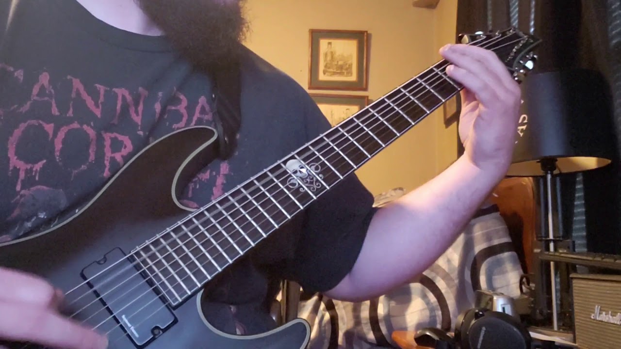 Sickening Metamorphosis by Cannibal Corpse guitar cover