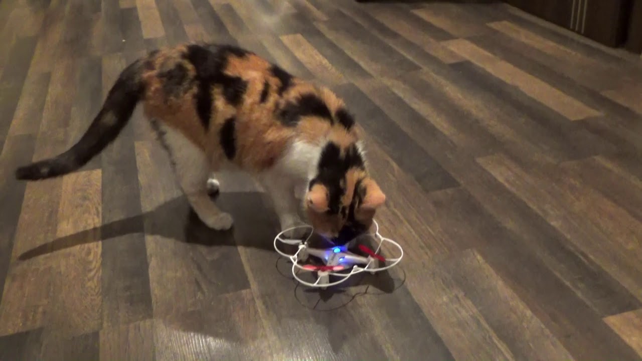 Q4X Dron z Lidla grudzień 2019