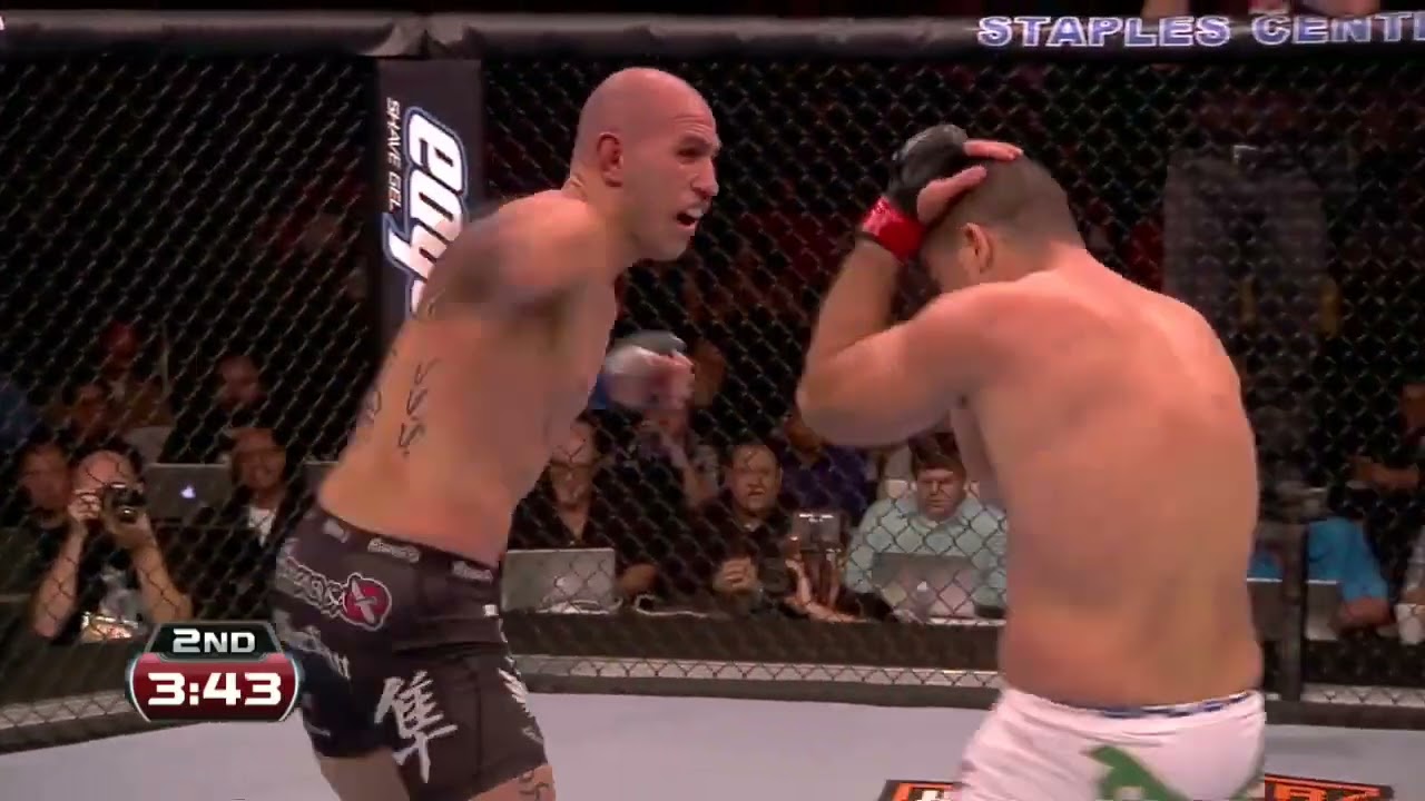 Shogun vs Vera