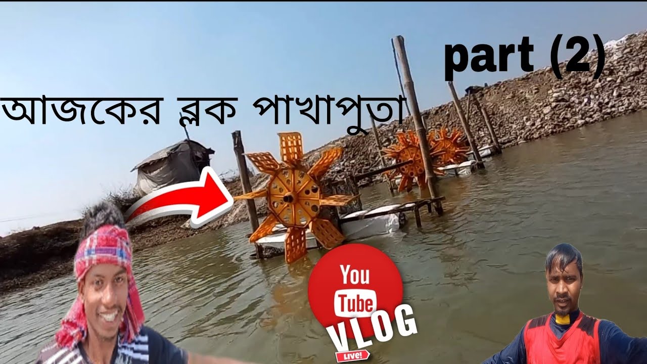 আজকের ব্লক পাখা পুতা part (2)