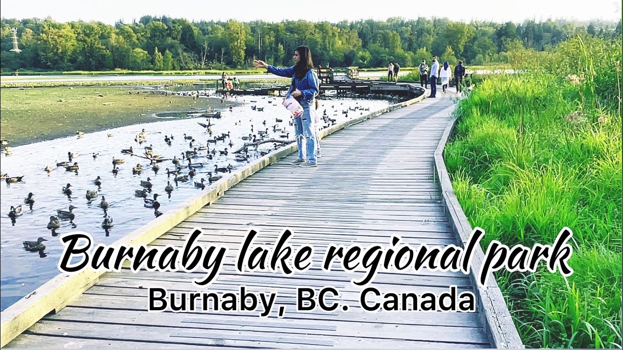 Burnaby lake regional park/ Burnaby lake/ attraction in Burnaby/ lake in Burnaby/ lake / attraction