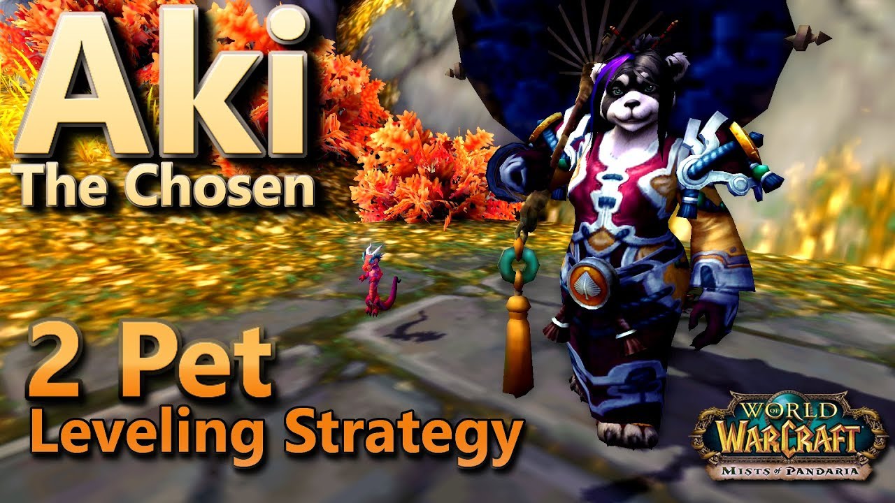 Aki The Chosen 2 Pet Leveling Strategy Pet Battle