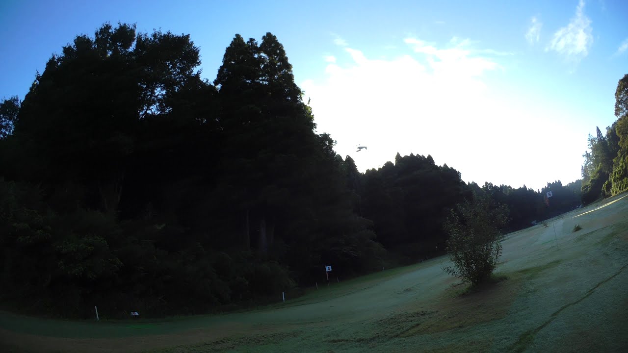 MPX FunnyCub 20190908-2