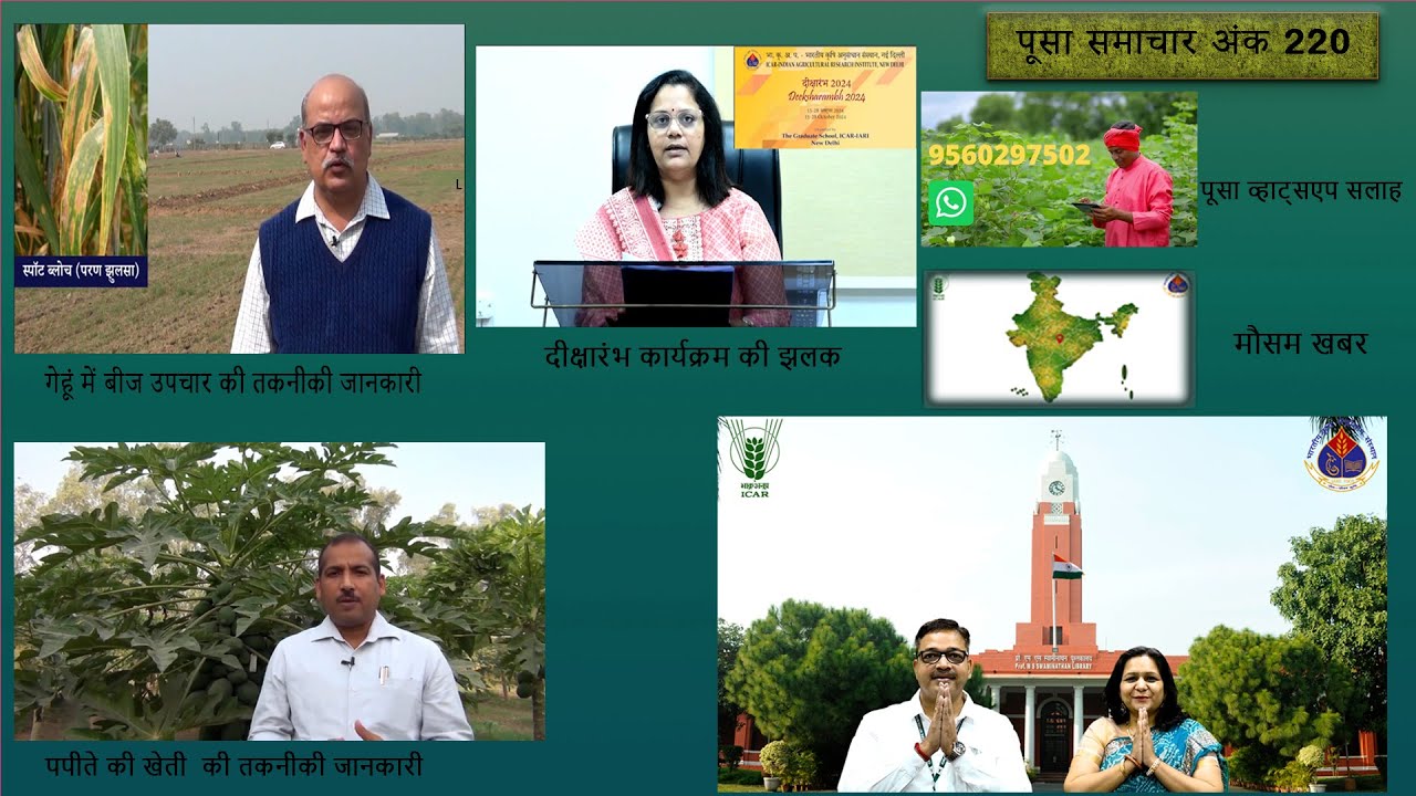 पूसा समाचार अंक 220 Pusa Samachar Episode 220