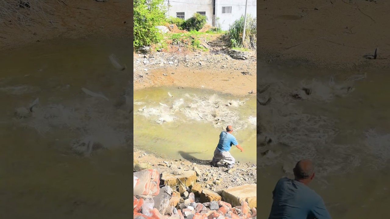 Cast Net Fishing: A traditional and efficient method of catching fish with a thrown net