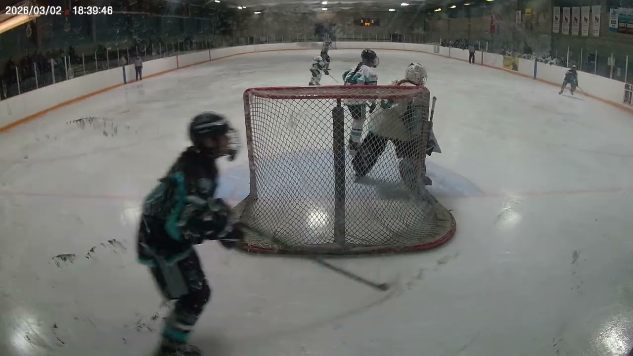 Sharks 846 (EM) vs Sharks 848 02Mar26 P1