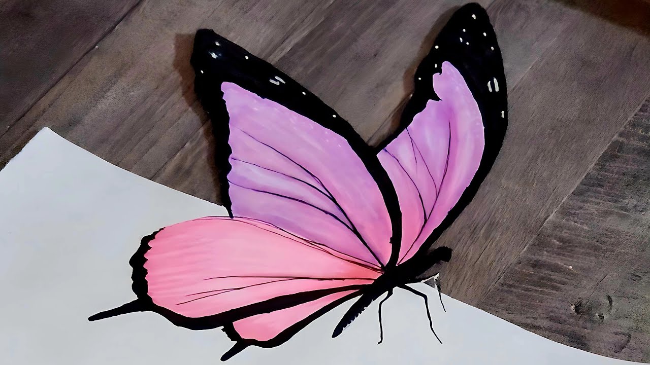 رسمة تعليمية 3D تعليم رسم فراشة ثلاثية الابعاد مع يسري