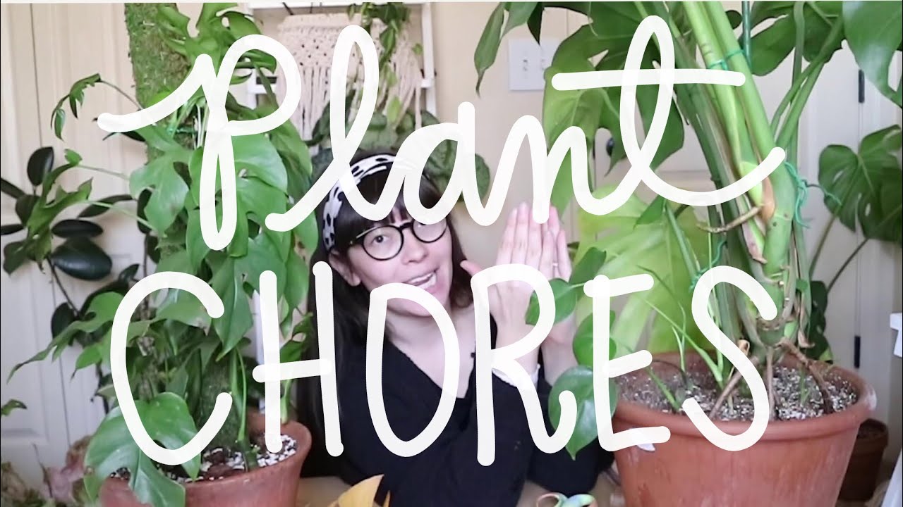 PLANT CHORES + CHATTING!
