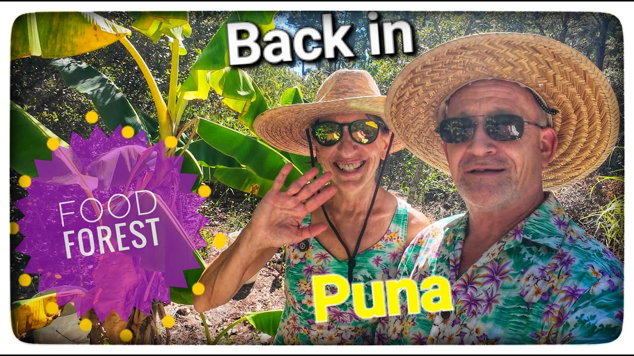 Puna visit update of our Offgrid Food Forest property