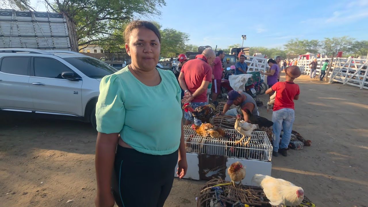 UMA DAS MELHORES FEIRA DE GALINHA DO NORDESTE É EM S.C.C-PE DIA 23/02/2026 