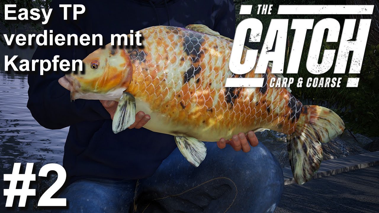 Easy Tackle Points verdienen mit Events auf Karpfen | The Catch Carp & Coarse #2 | Gameplay| Deutsch