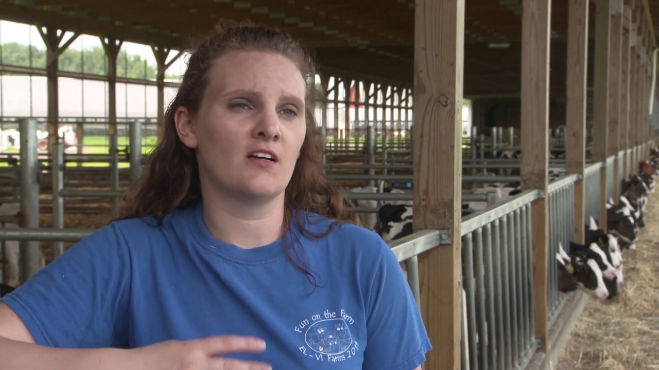 There are No Antibiotics in Milk