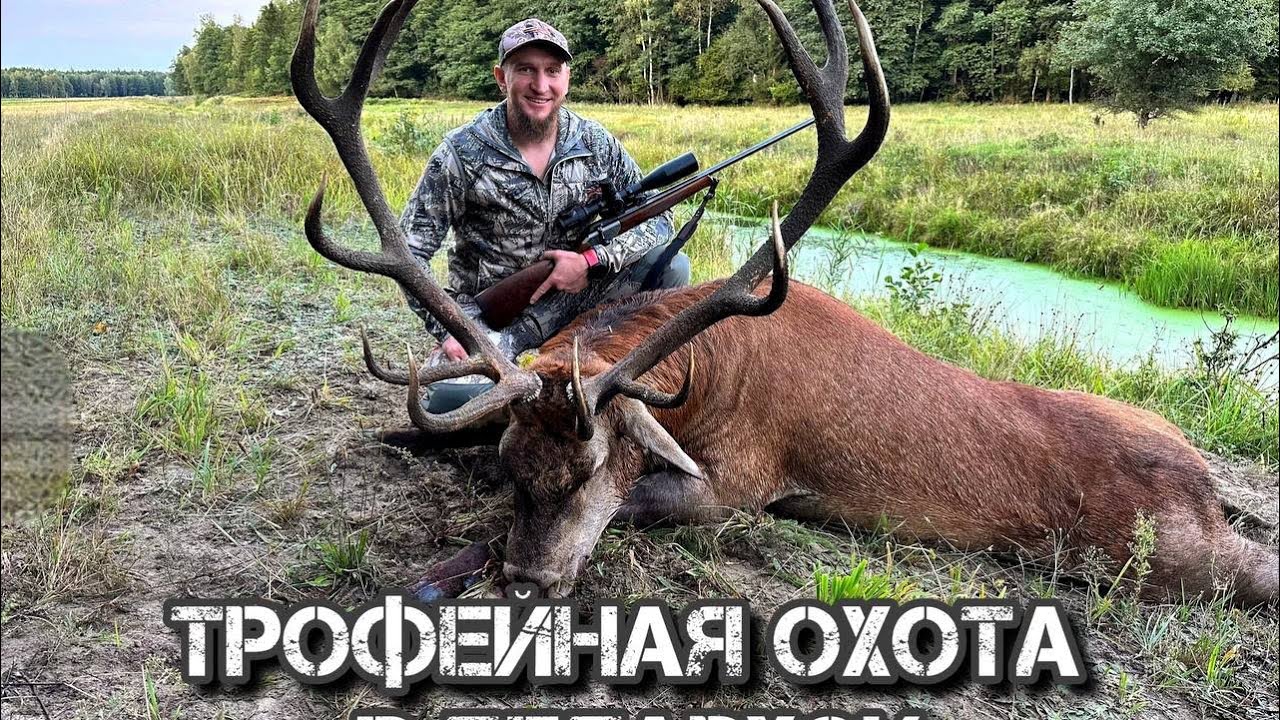 Трофейная охота