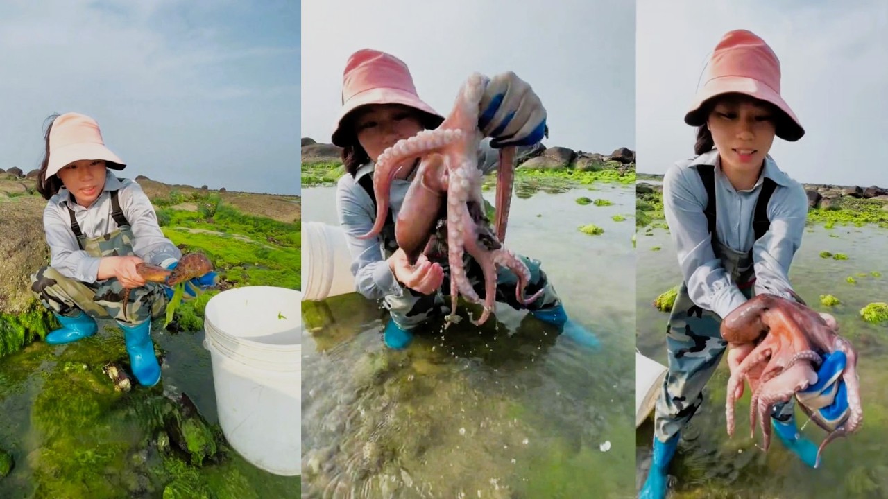 Squid and lobster fishing 🦀Crabbing video #catching #fishing #crab #hunting