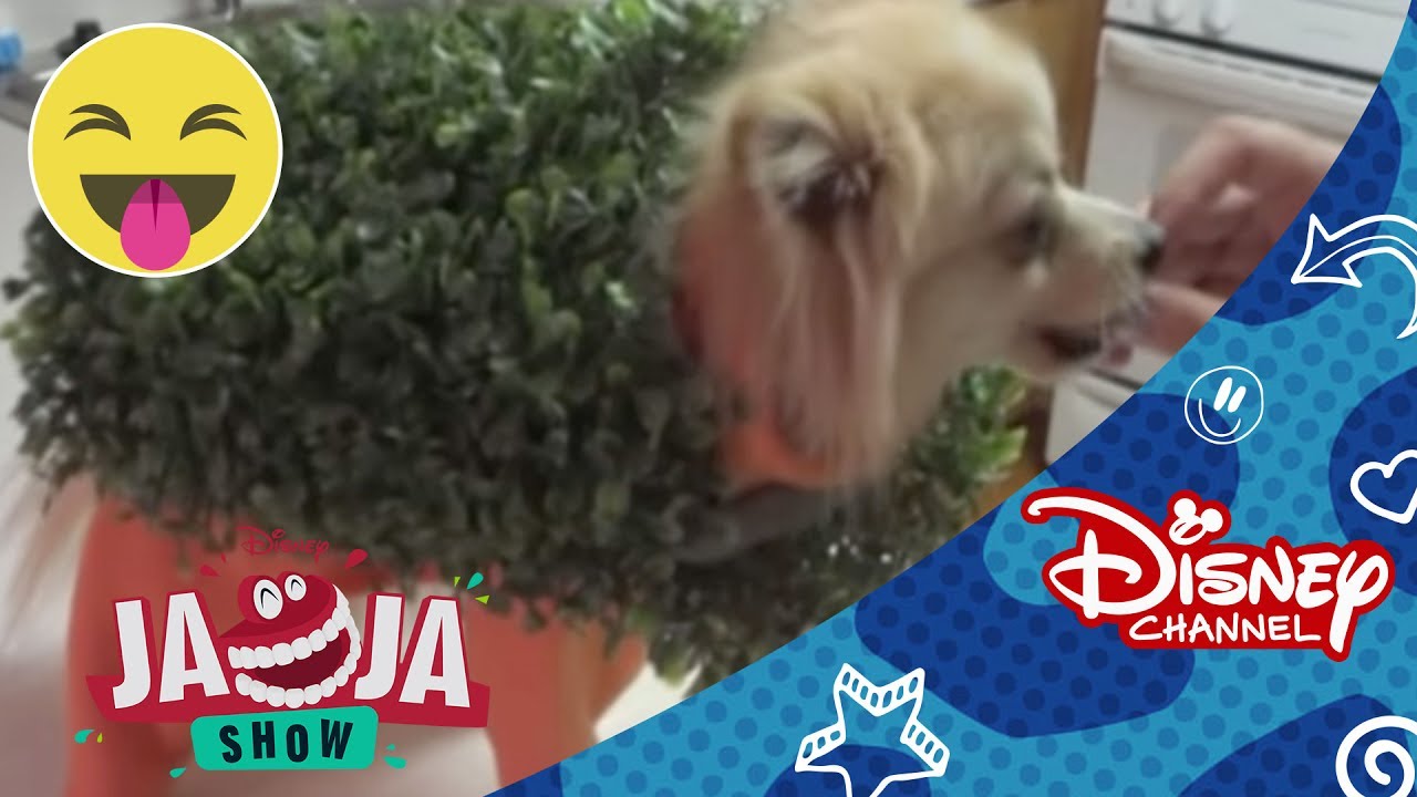 JaJa Show: Lo Mejor Episodio 53 | Disney Channel Oficial