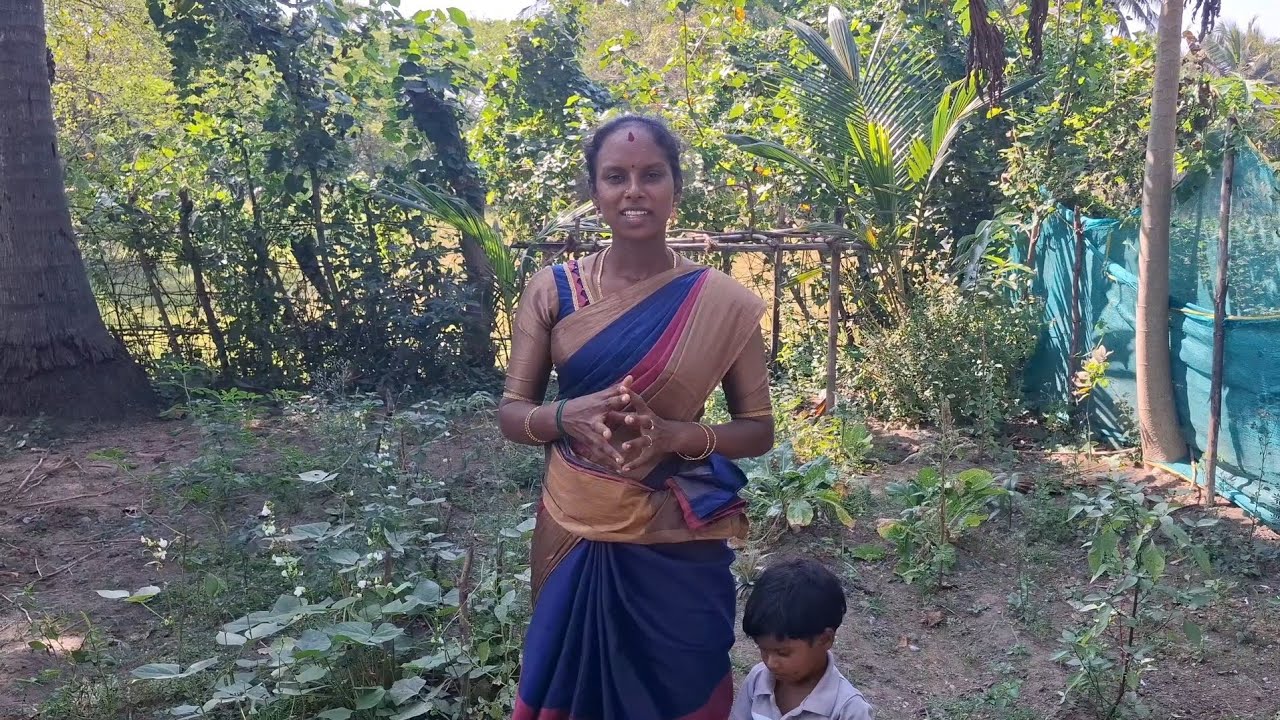 எங்க வீட்டு தோட்டத்தில் Vlog / Gramathu marumagal priya