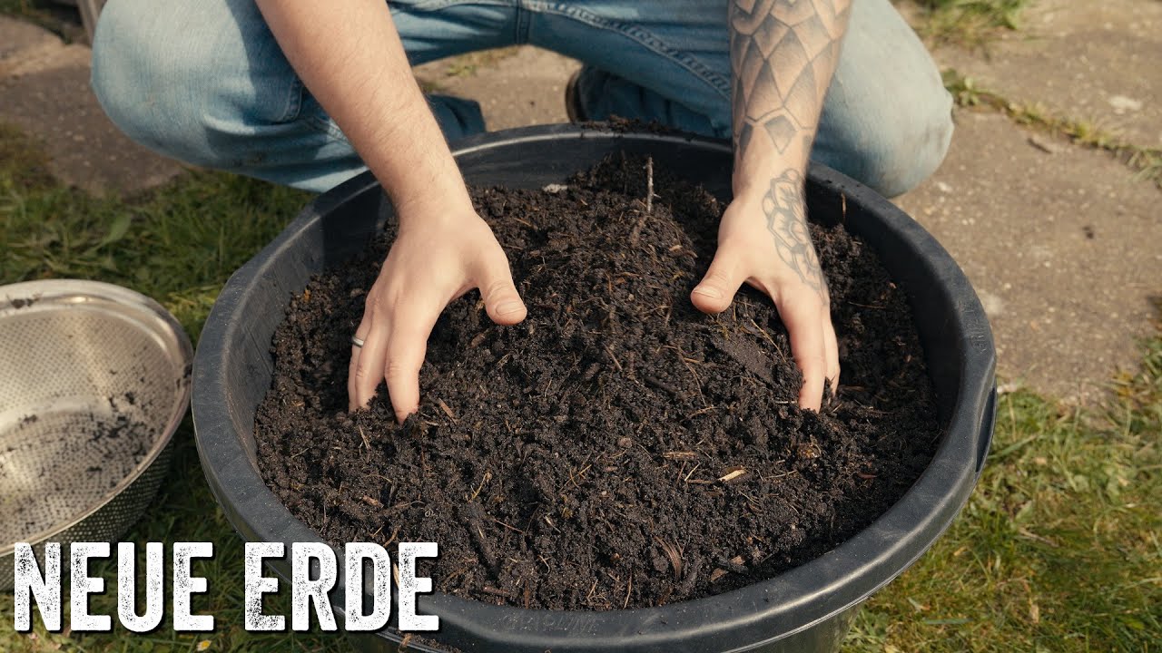 Neue Erde - GartenVlog 23