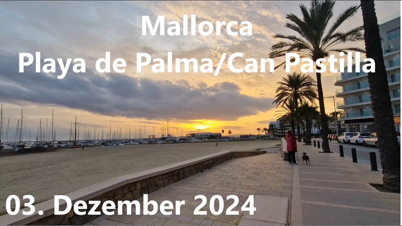 Playa de Palma🌴| Mallorca♥️ | Ballermann🥳  |  VLOG 03.12.24 |