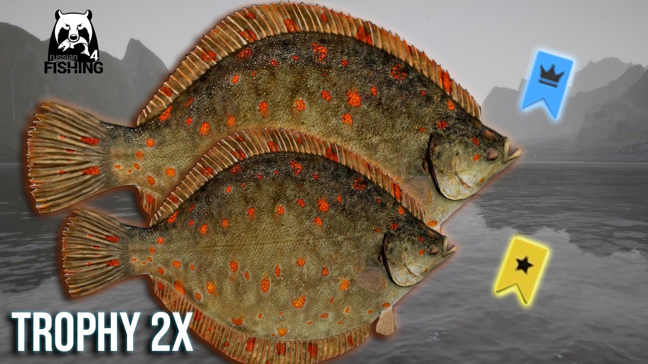 RARE TROPHY AND TROPHY EUROPEAN PLAICE (GLOBAL RECORD) - Russian Fishing 4