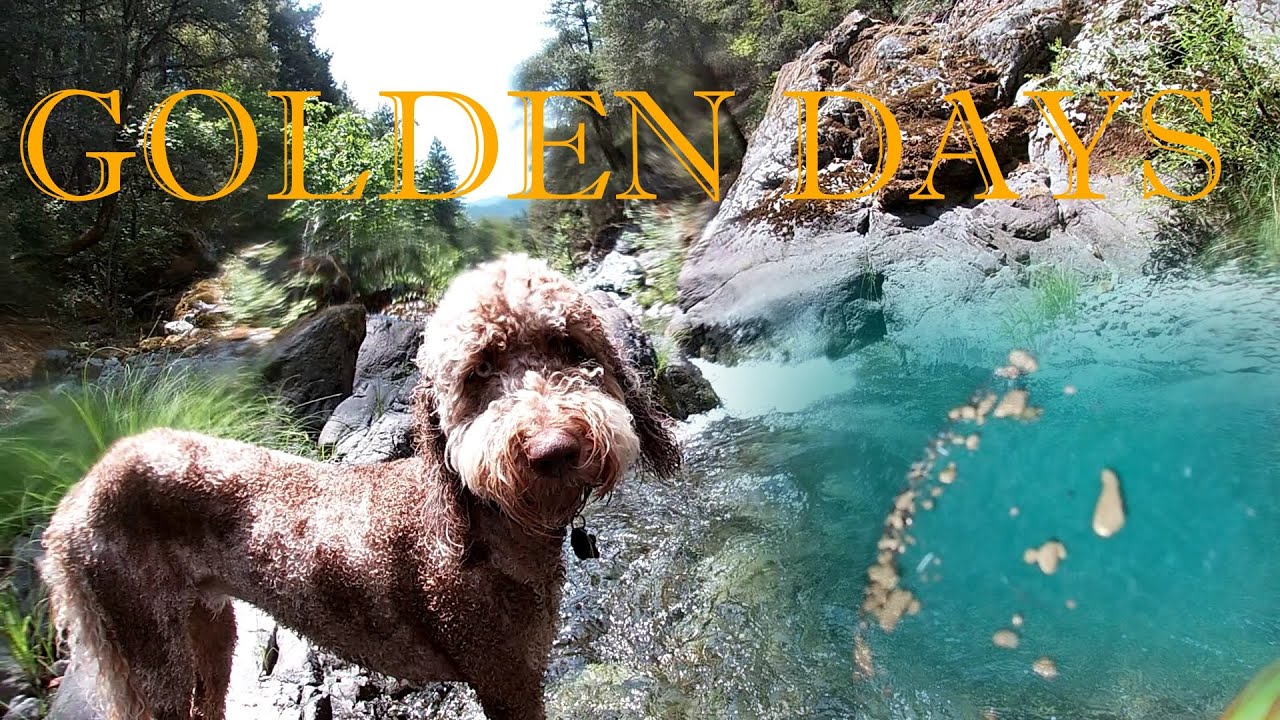 Sniping Gold Canyon