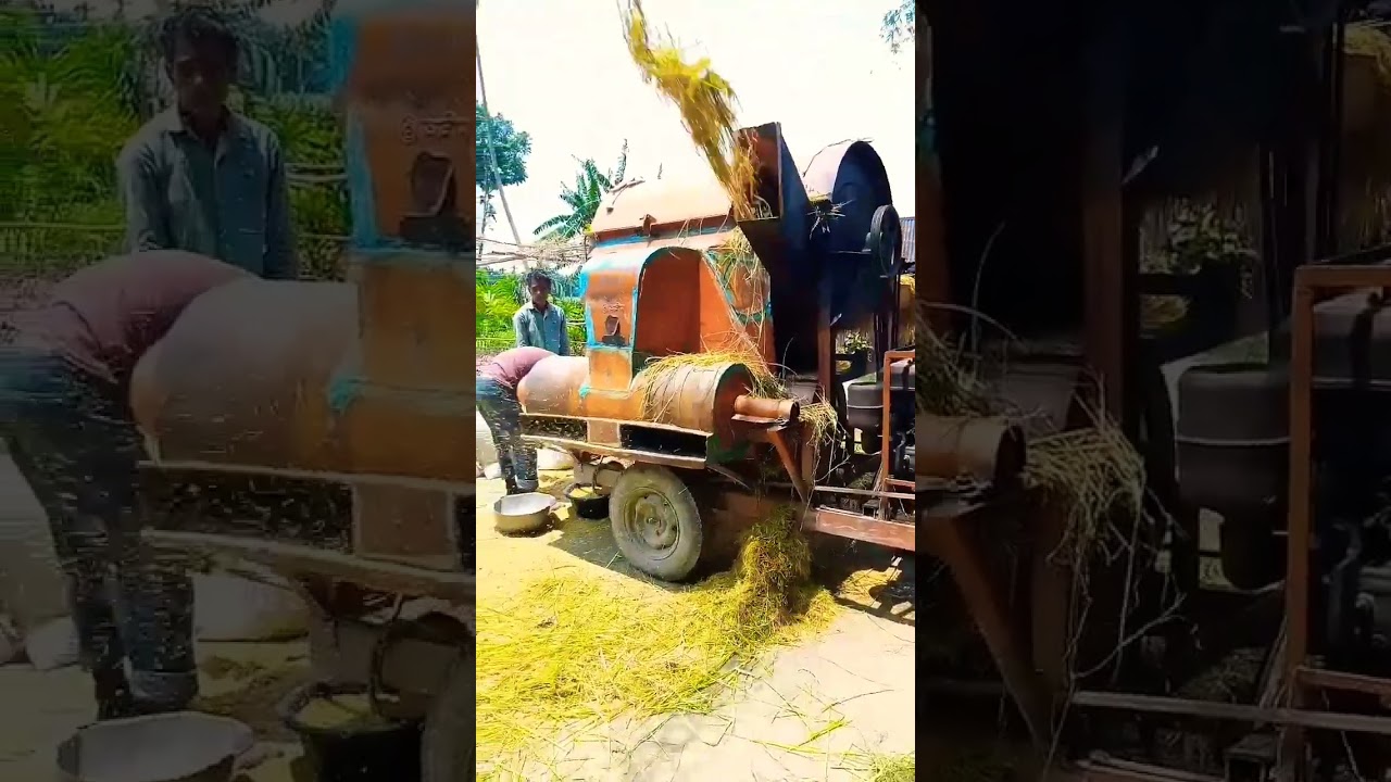ধান মাড়াই মেশিন#shorts #shortvideo #funny #agriculture