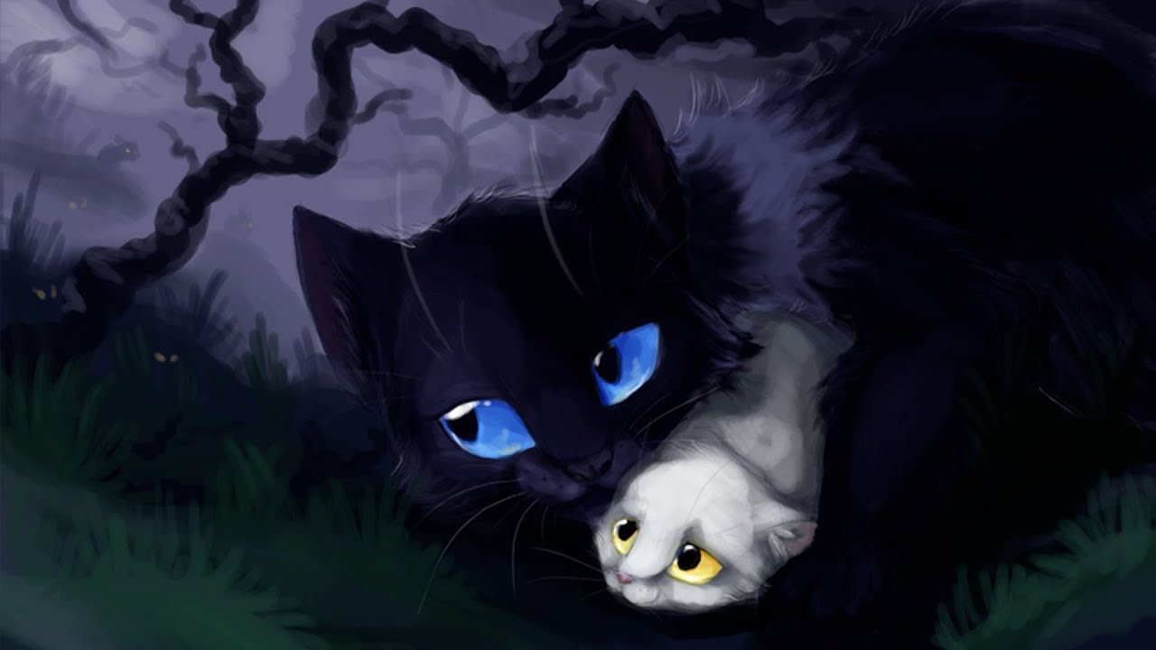 Warrior Cats Welche Katze ist das ? | Teil 1
