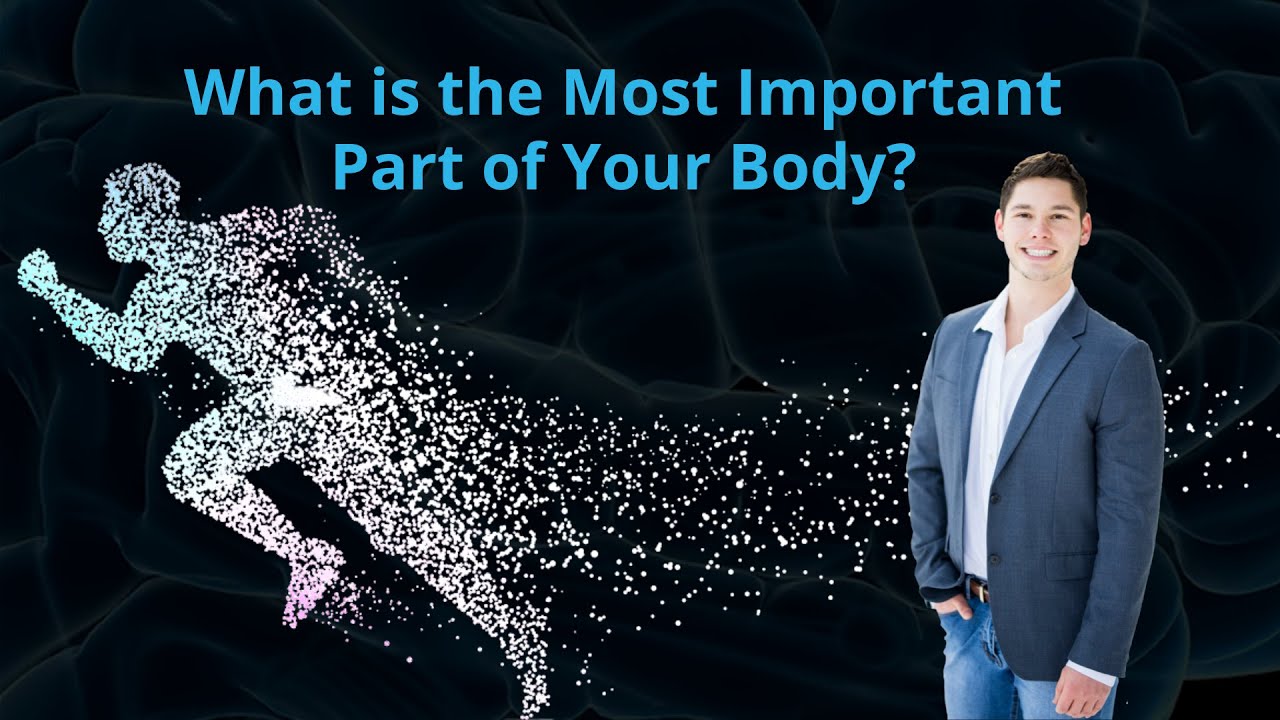 The Most Important Part of Your Body!