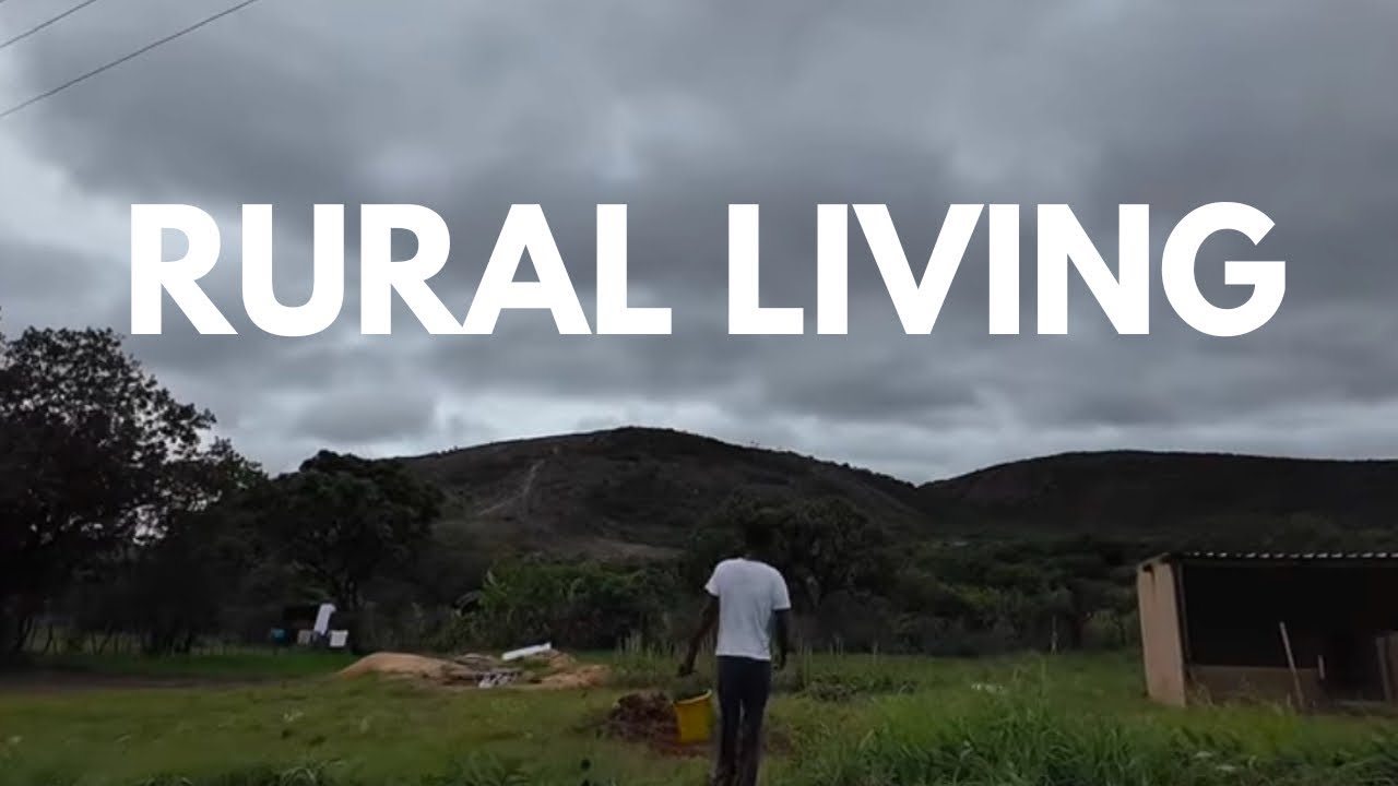 PEACEFUL LIFE||VEGETABLE GARDEN||BUILDING A FARM||VILLAGE LIFE #zimbabweanyoutuber #travel