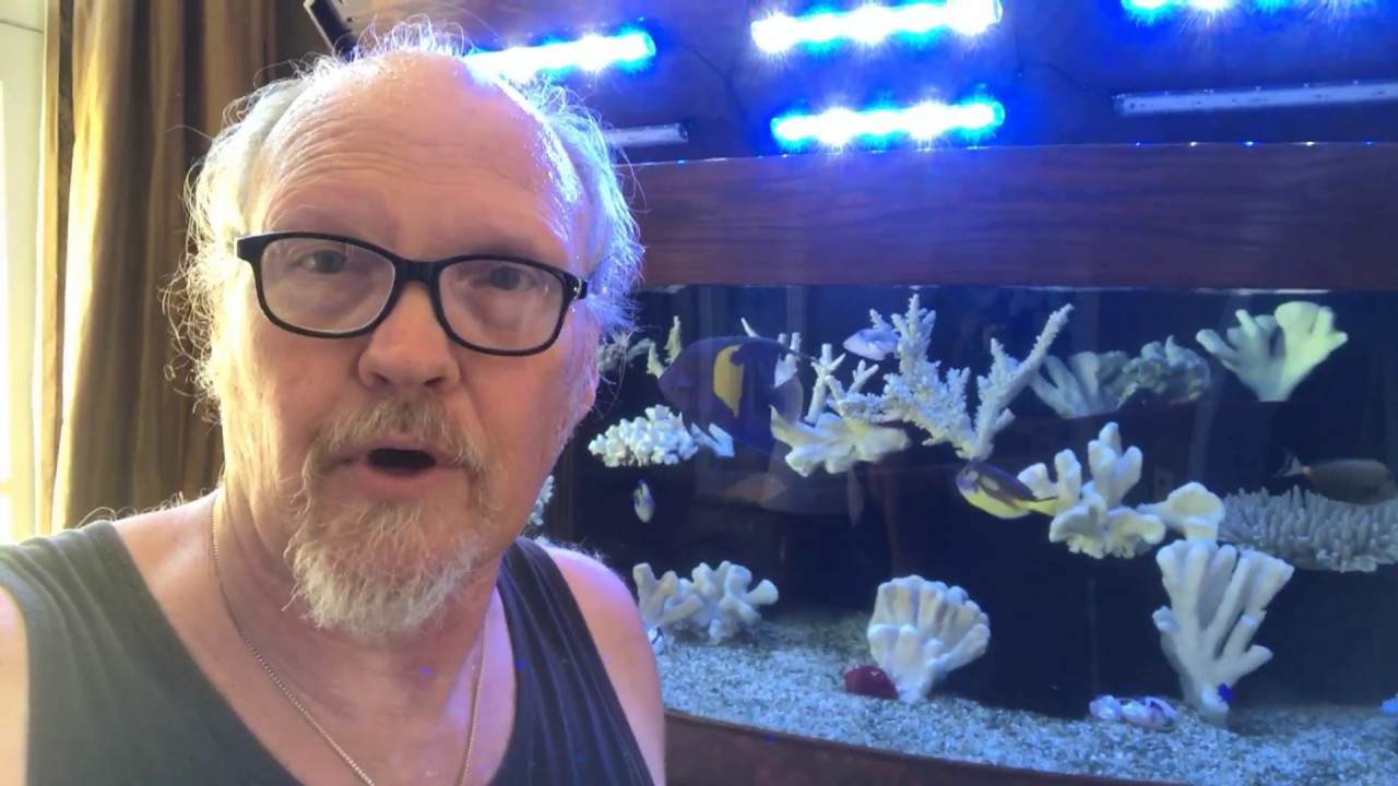 Evaporative Cooling in Aquariums. An inexpensive alternative.