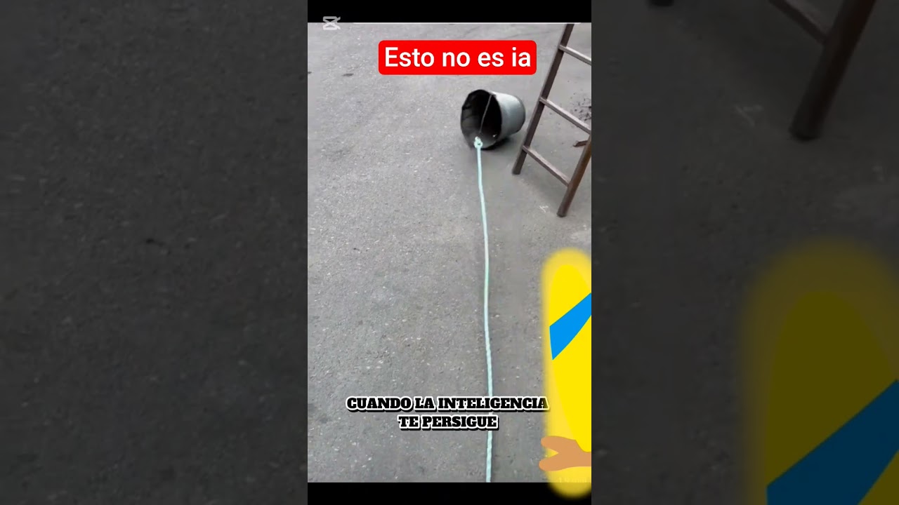 cuando la inteligencia te persigue!! #humor #ias #memes #comedia #sarcas