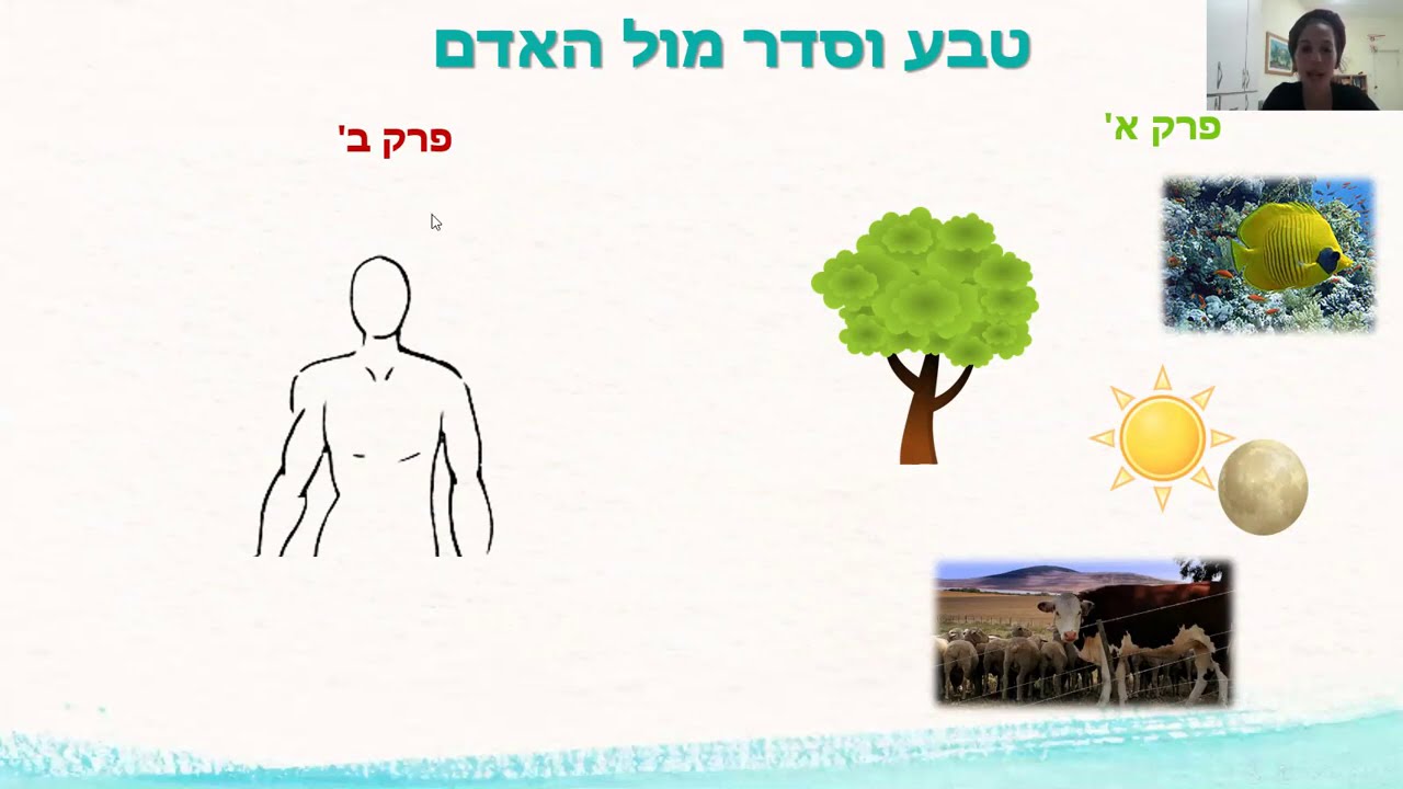 השוואה בין פרק א' לפרק ב' - בראשית