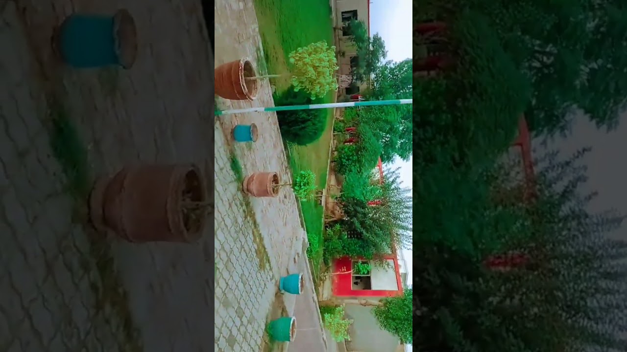 Zakariya educational systems (NCC) layyah