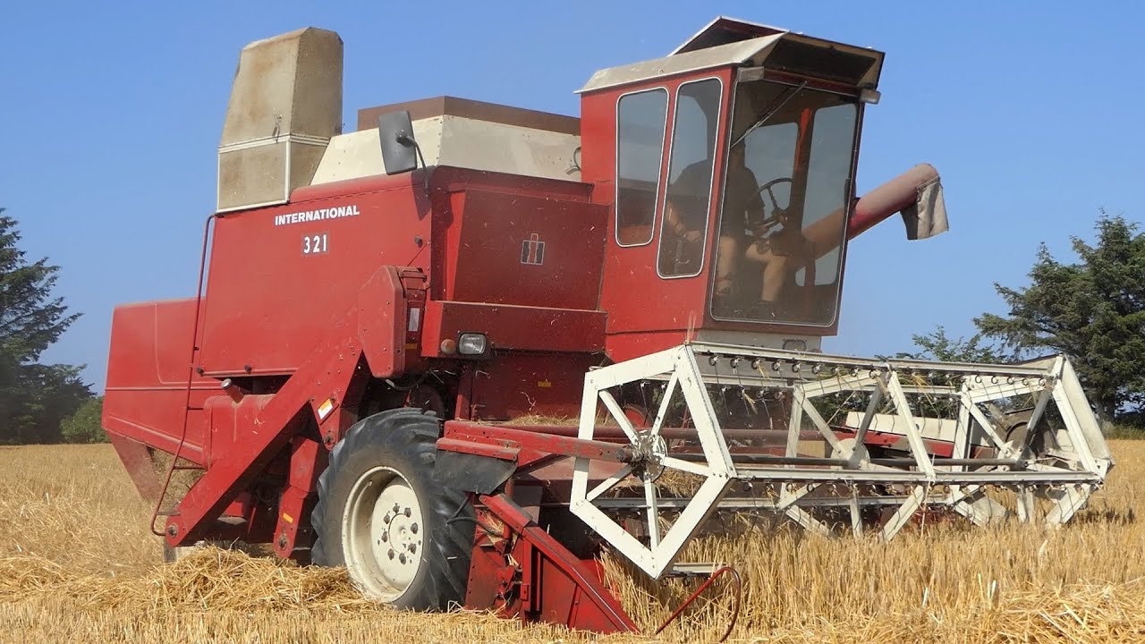 IH 321 Combine in the field Harvesting Barley | Harvest Season 2021 | Antique Machinery