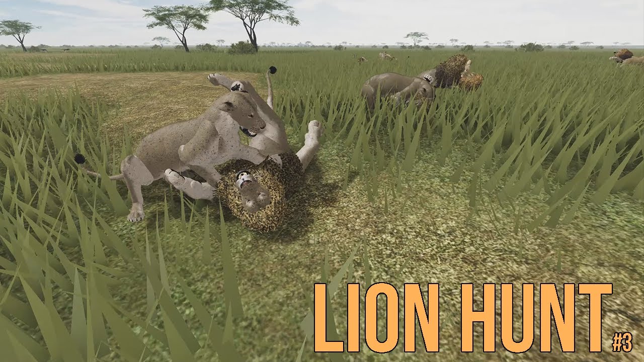 Roblox: LION HUNT #3 (Testing A/Testing C)