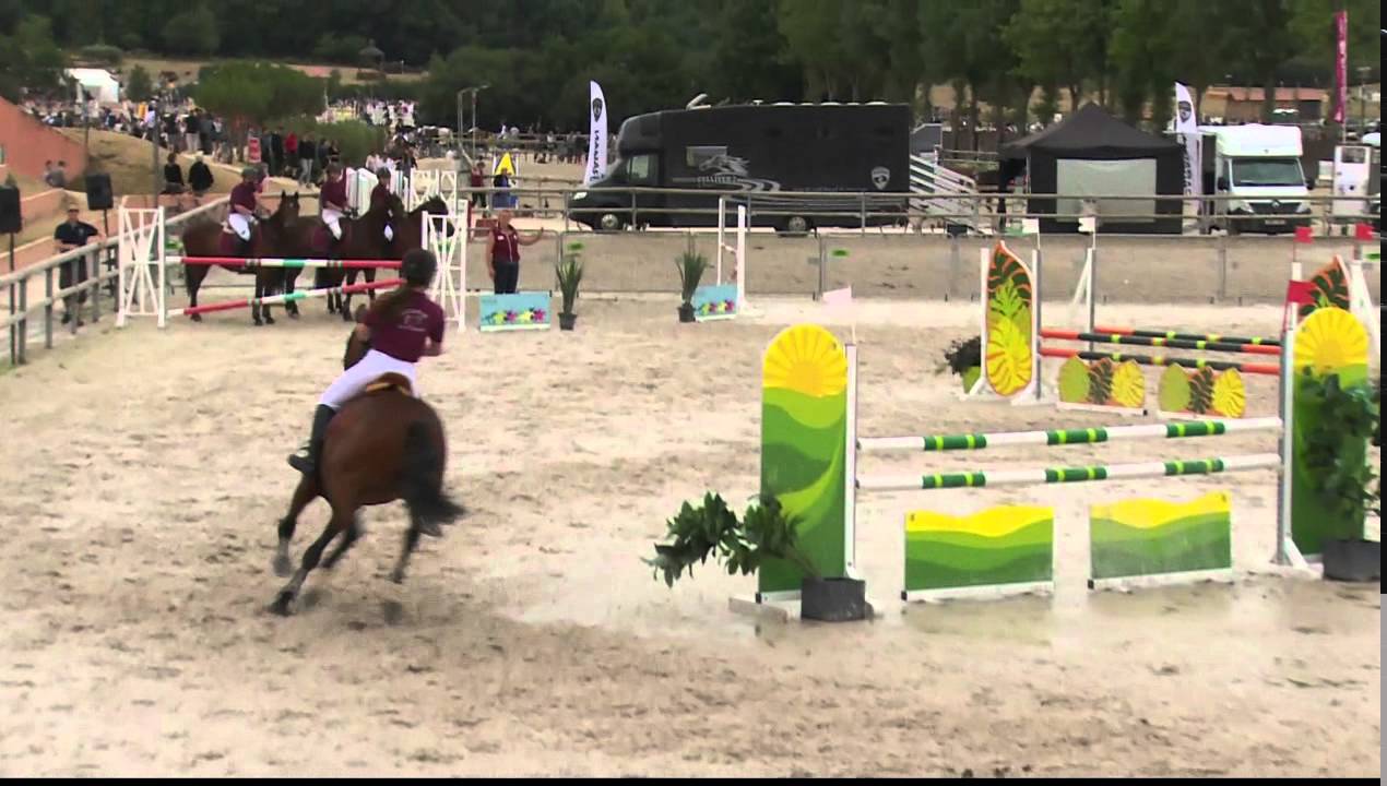 Heloise sassower solanjag de viette 2015