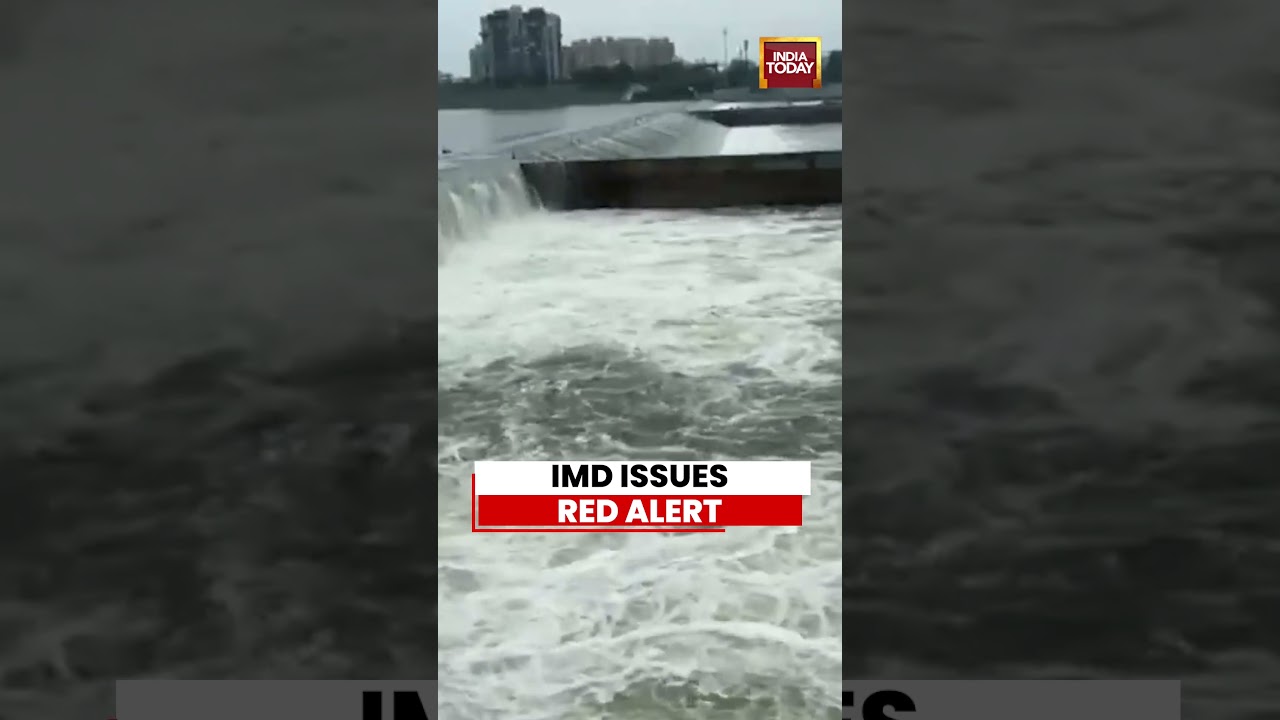 Tapi River Swells As Heavy Rain Batters Surat | IMD Issues Red Alert #shorts