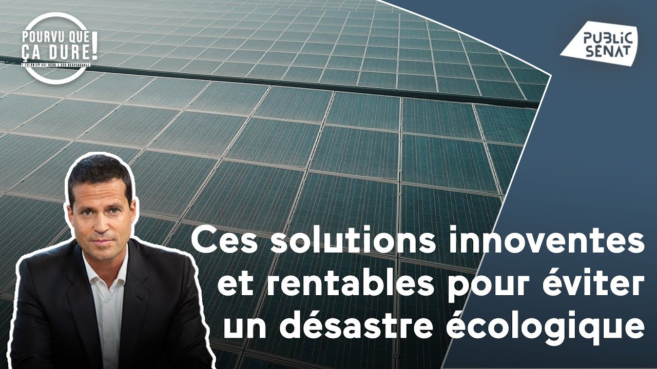 Ces solutions innovantes et rentables pour éviter un désastre écologique