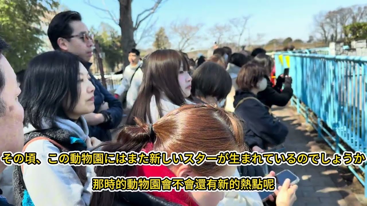 パンチ君は、ごく普通の動物園を世界に知られる動物園へと変えました，Punch君讓這處普通的動物園紅遍世界#punch 