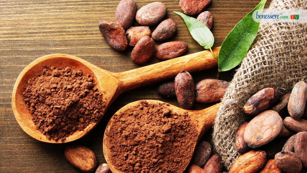 Tutte le proprietà del cacao