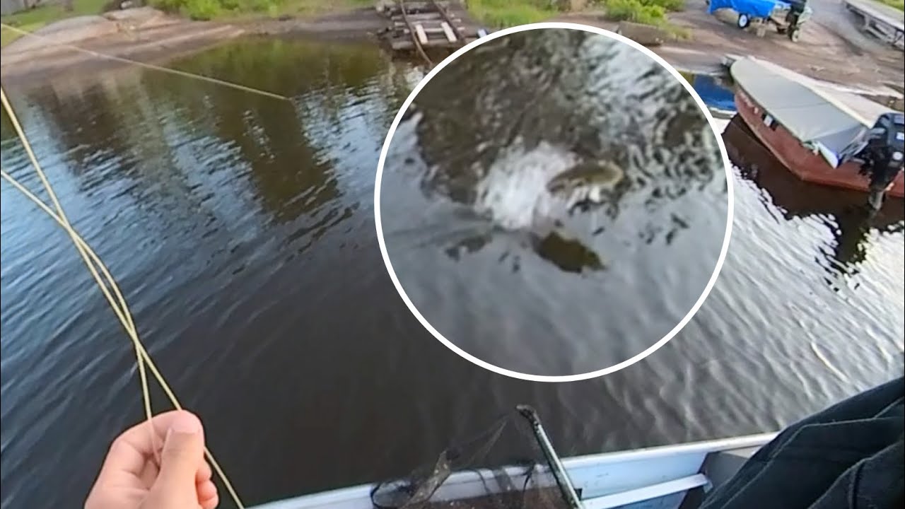 Aggressive Smallmouth Fly Fishing the Key River!