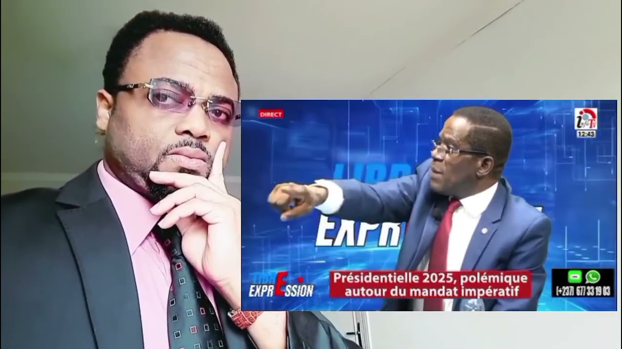 Prof.Jean BAHEBECK déshabille le RDPC et ELECAM