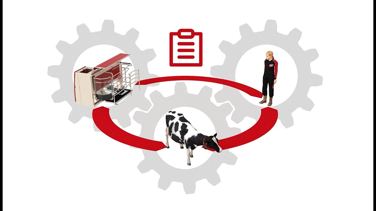 Dairy XL - The heartbeat of a modern dairy farm - EN