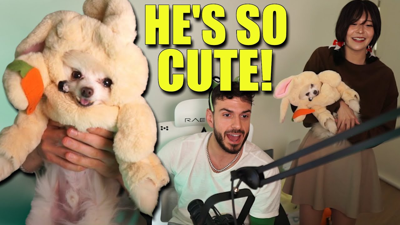 Tarik & Miyoung SHOW OFF Nabi's Halloween Costume