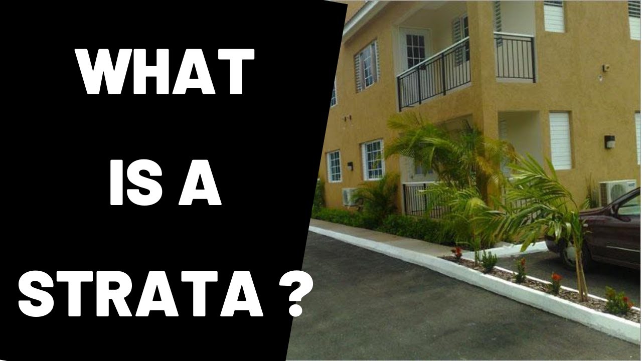 Home ownership in Jamaica | Understanding STRATA | TVJ Smile Jamaica Interview