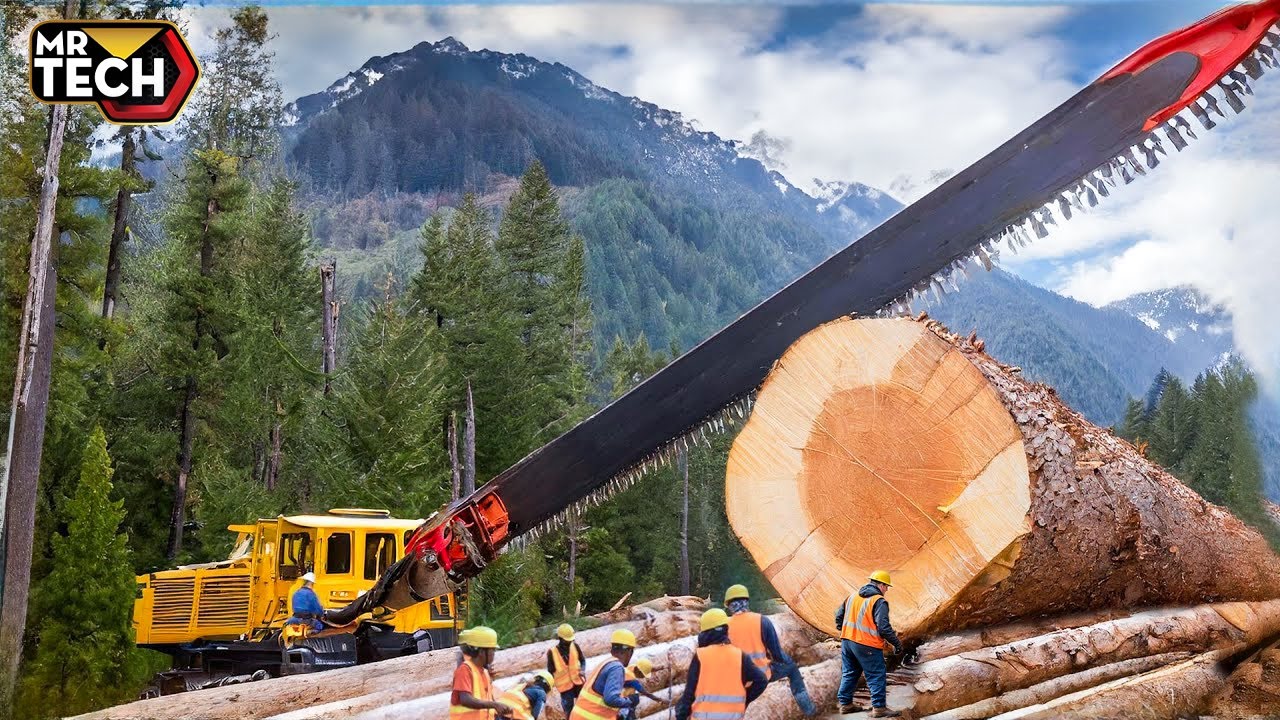 Extreme Dangerous Fastest Big Chainsaw Cutting Tree Machines | Monster Stump Removal Excavator #36